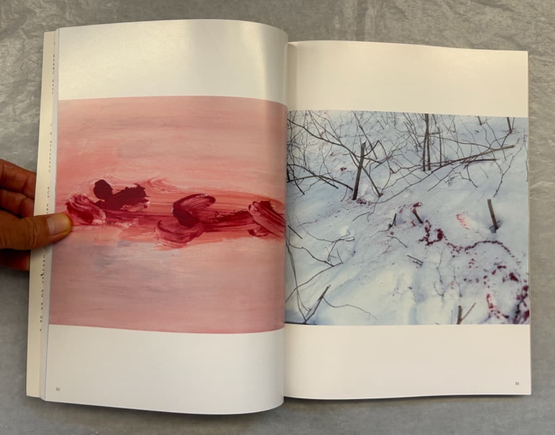 『ホンマタカシ　ニュー・ドキュメンタリー』展、図録、2011年。