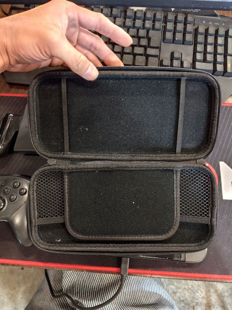 d*2様 Nintendo Switch 本体 プロコントローラー