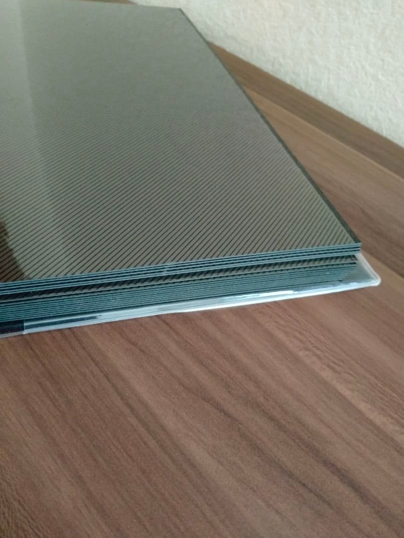 DELFONICS デルフォニクス フォトアルバム L 2冊 粘着台紙30シート