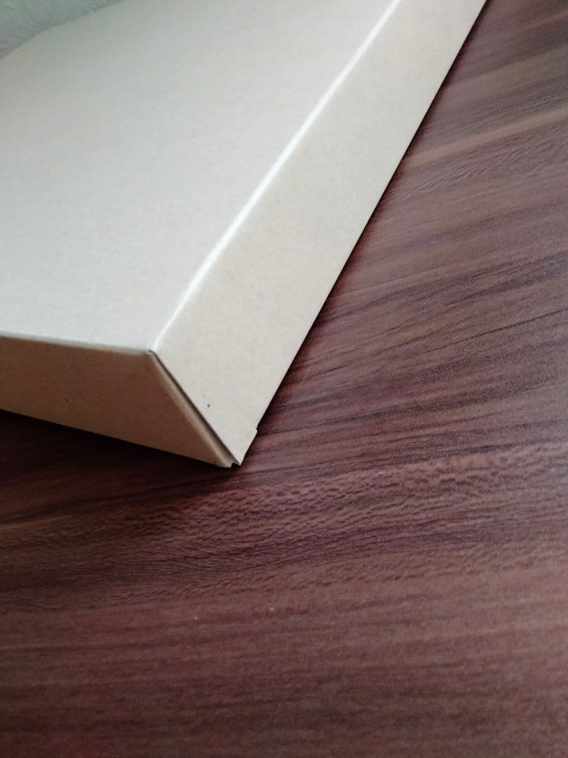 DELFONICS デルフォニクス フォトアルバム L 2冊 粘着台紙30シート