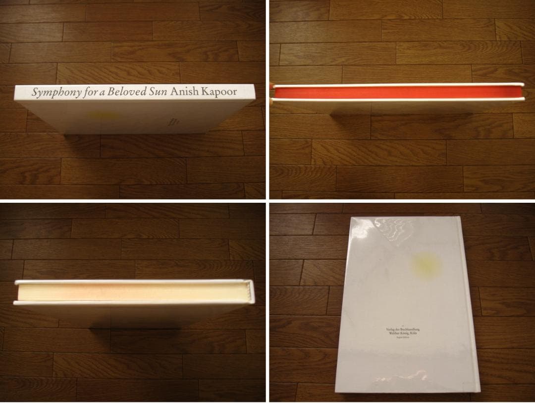 Symphony for a Beloved Sun　Anish Kapoor