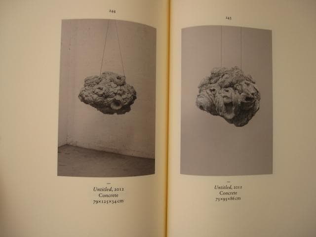 Symphony for a Beloved Sun　Anish Kapoor