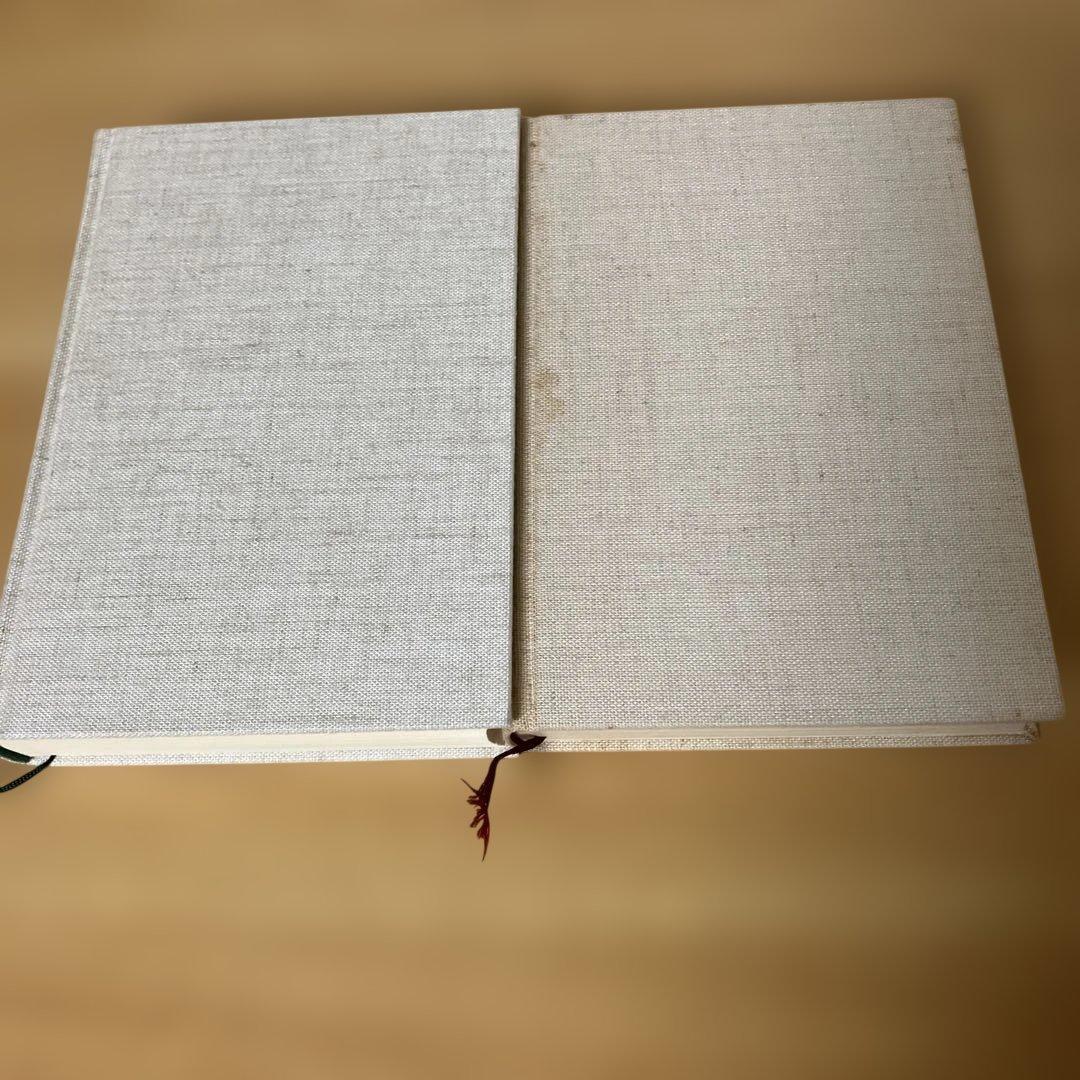 フーコー・コレクション　フーコー・ガイドブック　監獄の誕生　言葉と物　セット