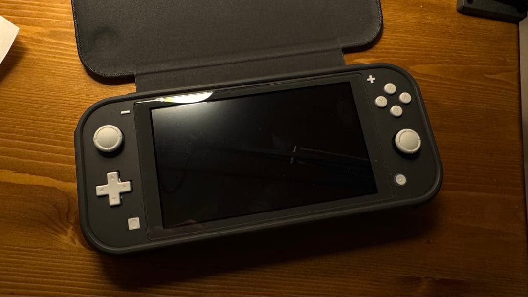 Nintendo Switch Lite グレー本体、アダプタ、ハードケース付き