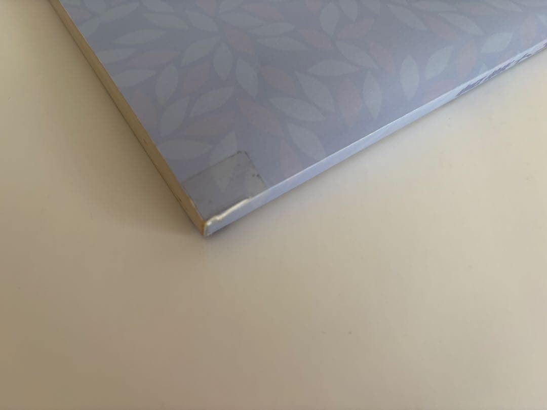 【赤シート2枚付き•書き込みなし】サピックス　言葉ナビ　上巻•下巻　2冊セット