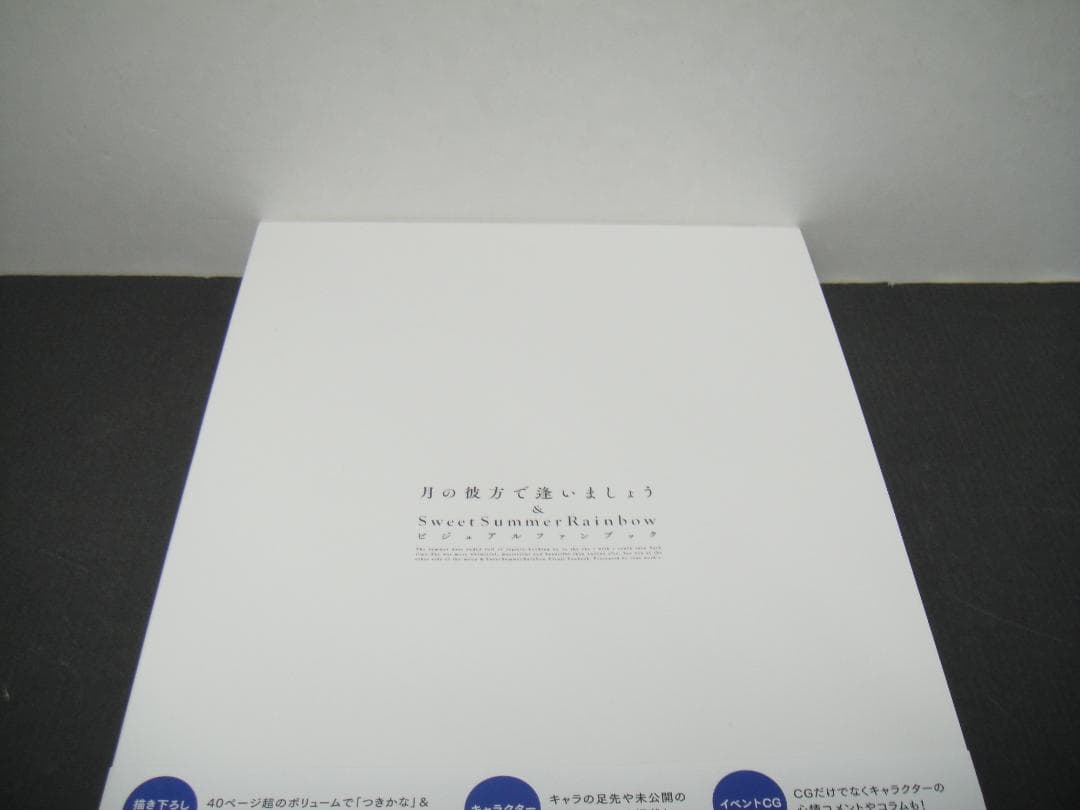 03● 月の彼方で逢いましょう ビジュアルファンブック NA0114-2