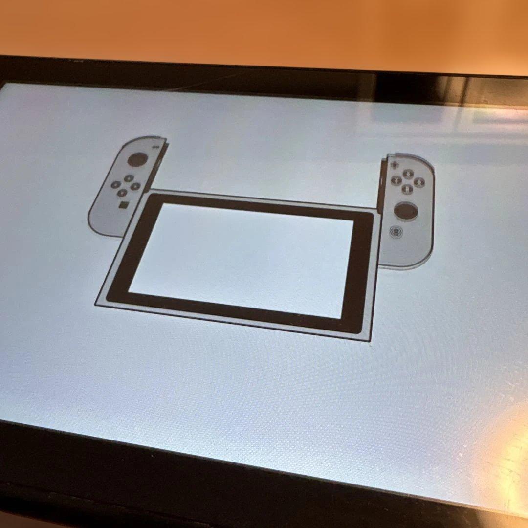 ニンテンドーSwitch本体のみ初期化済み