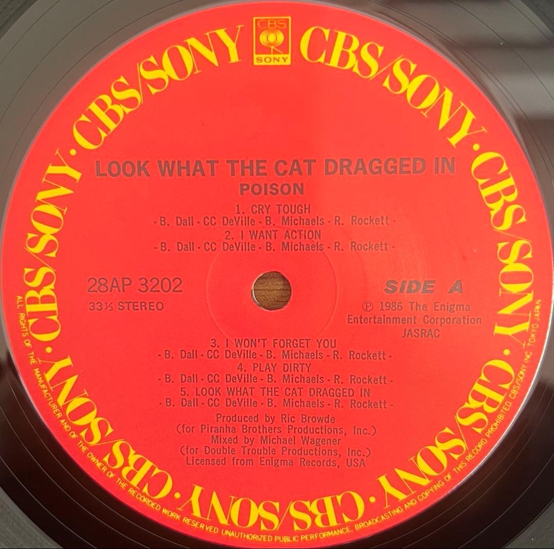 洋楽 Poison Look What The Cat Dragged In