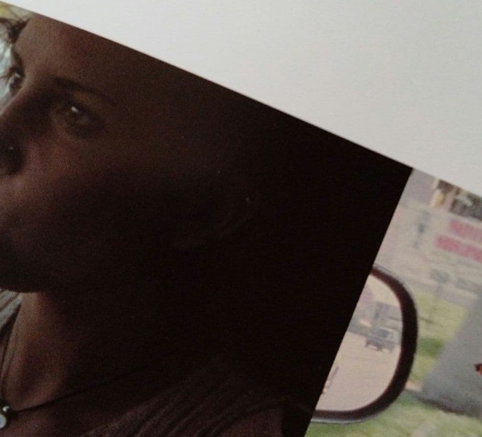 ヴィンセント・ギャロ 写真集『The Brown Bunny』