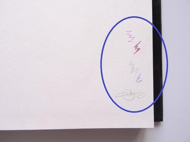 洋書◆犬の写真集 本