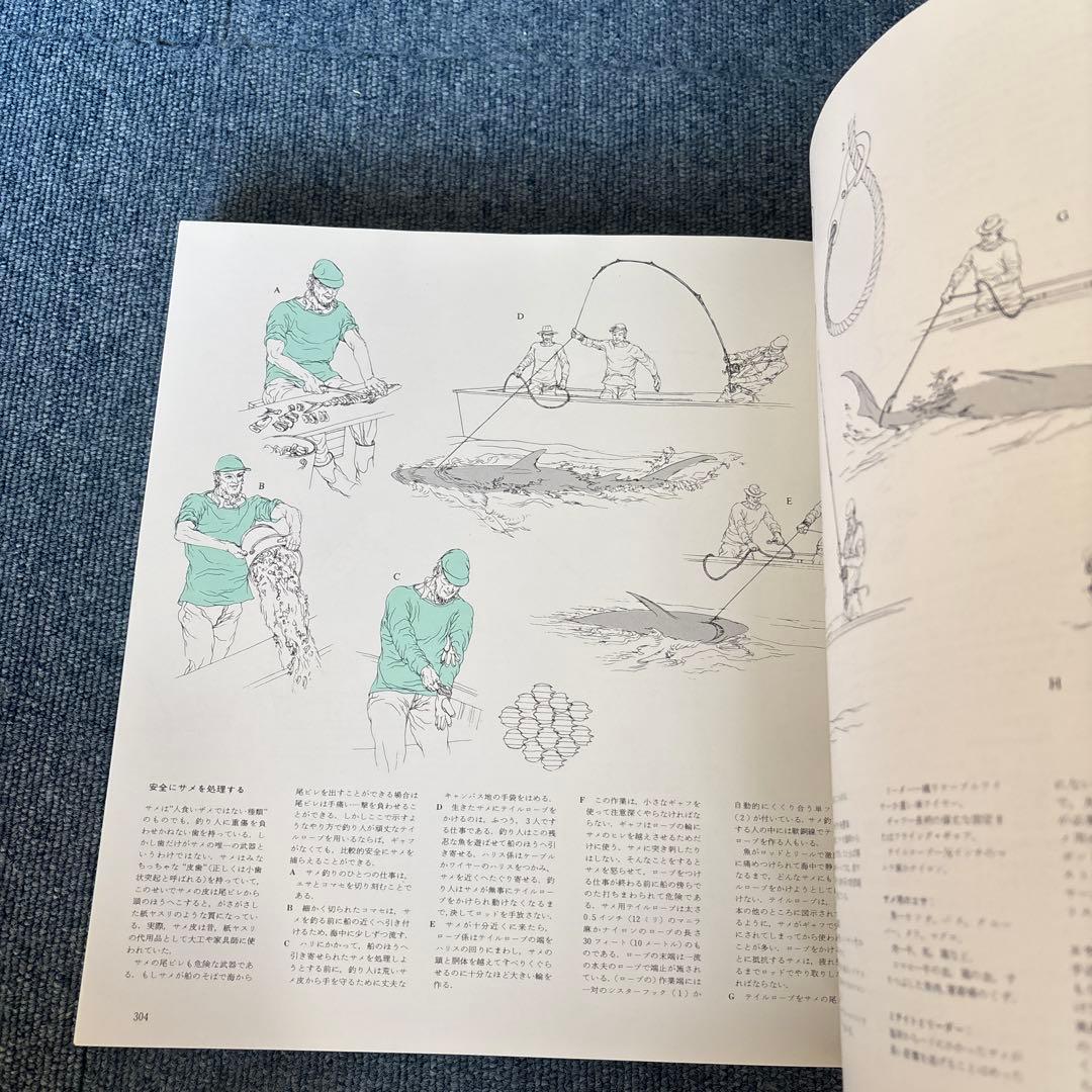 カラー版　釣魚大全