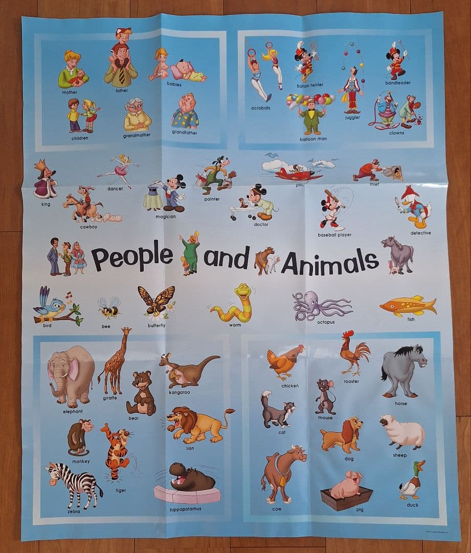 DWE　シングアロング　DVDなし