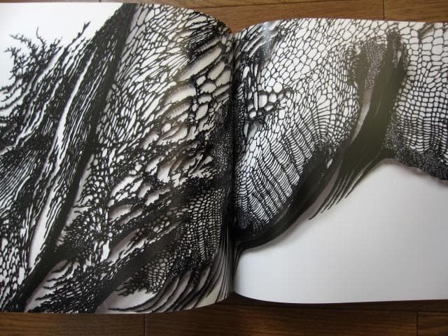 SYNTHESIS　シンセシス　名和晃平　Kohei Nawa