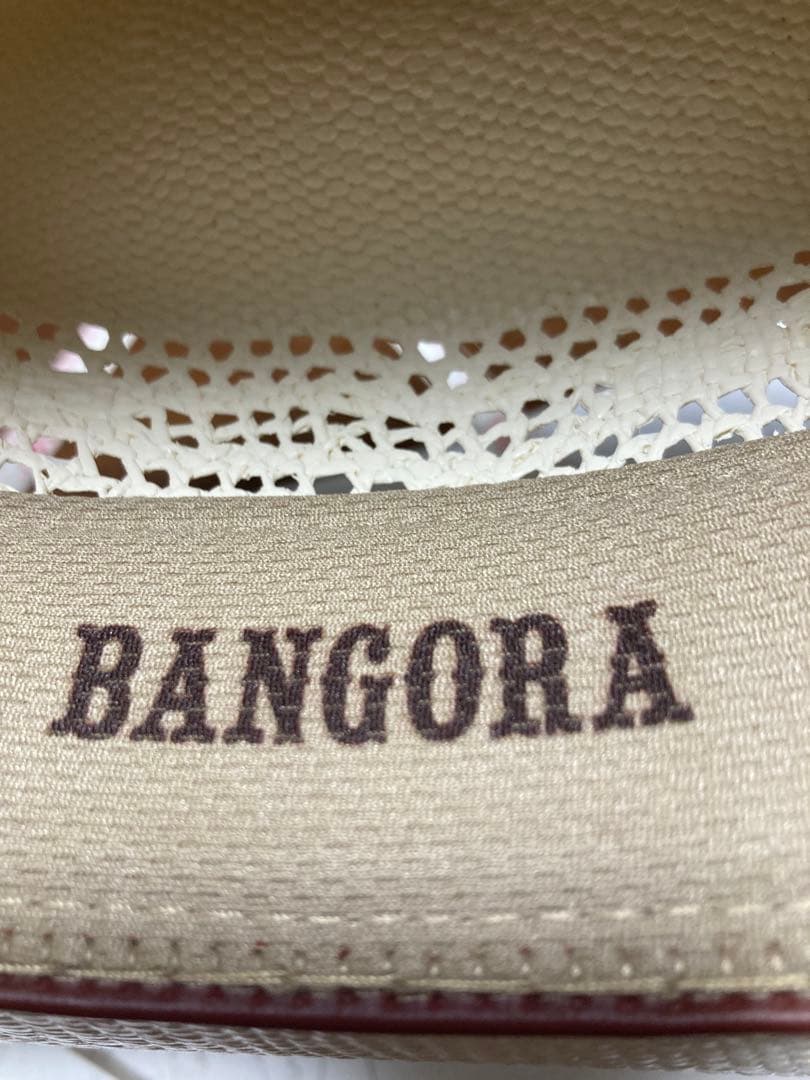 ホワイトカウボーイハット　BULL HIDE BANGORA