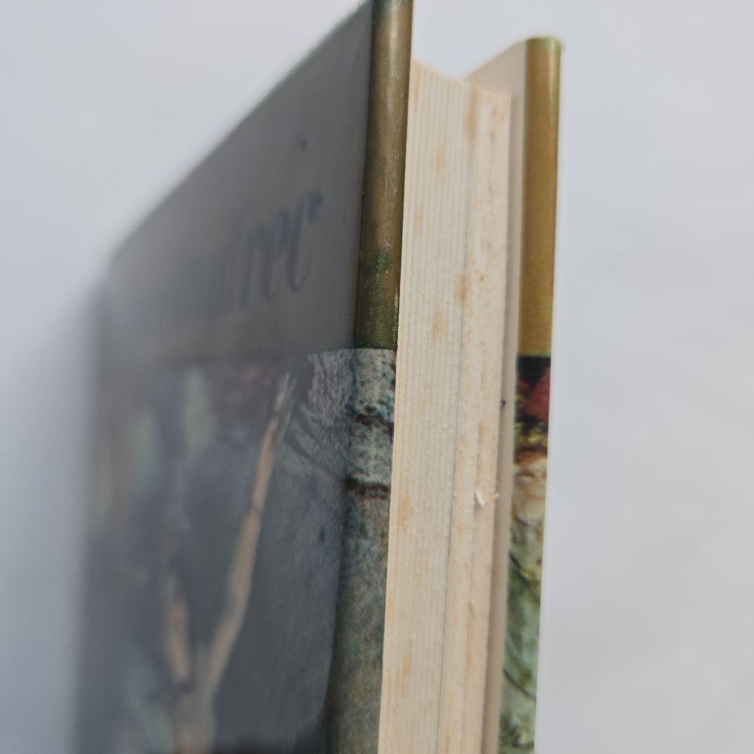 世界の美術　河出書房　全30巻　セット