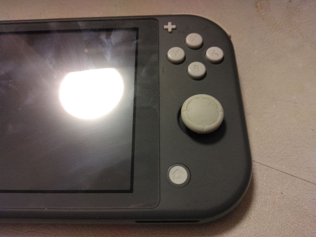 スイッチライトグレー2019年モデル