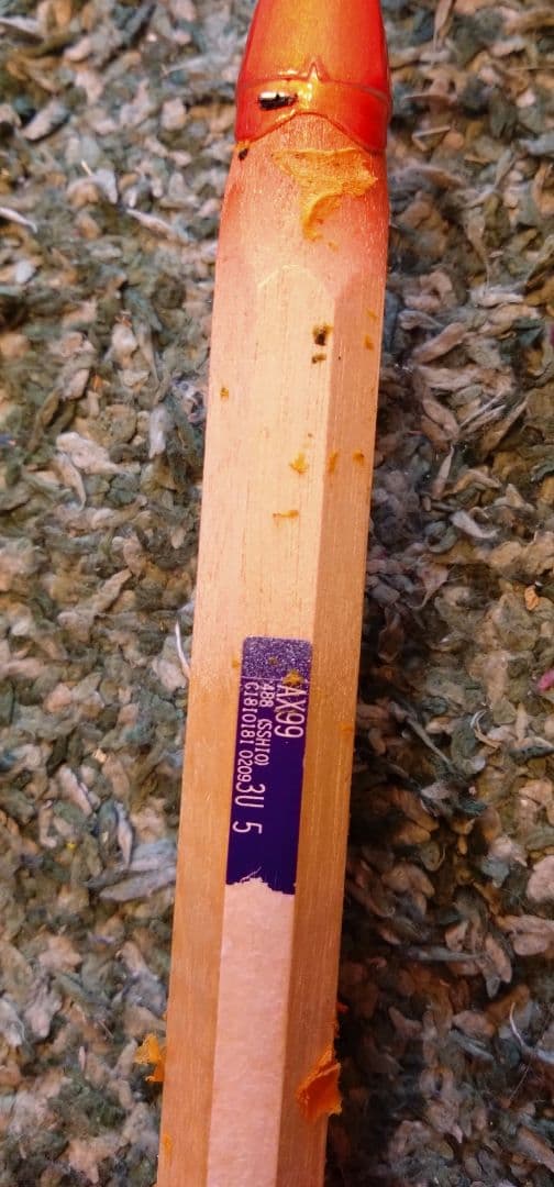 YONEXヨネックスアストクス99ASTROX99希少サイズ3U5G