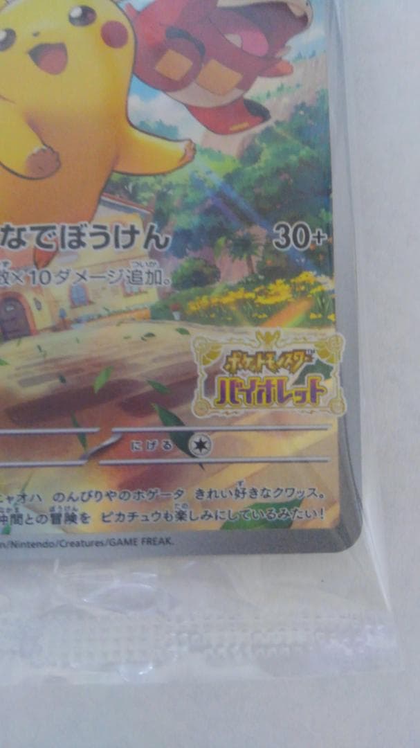 じょうポケモンレジェンズ＋ポケカ みんなでぼうけん