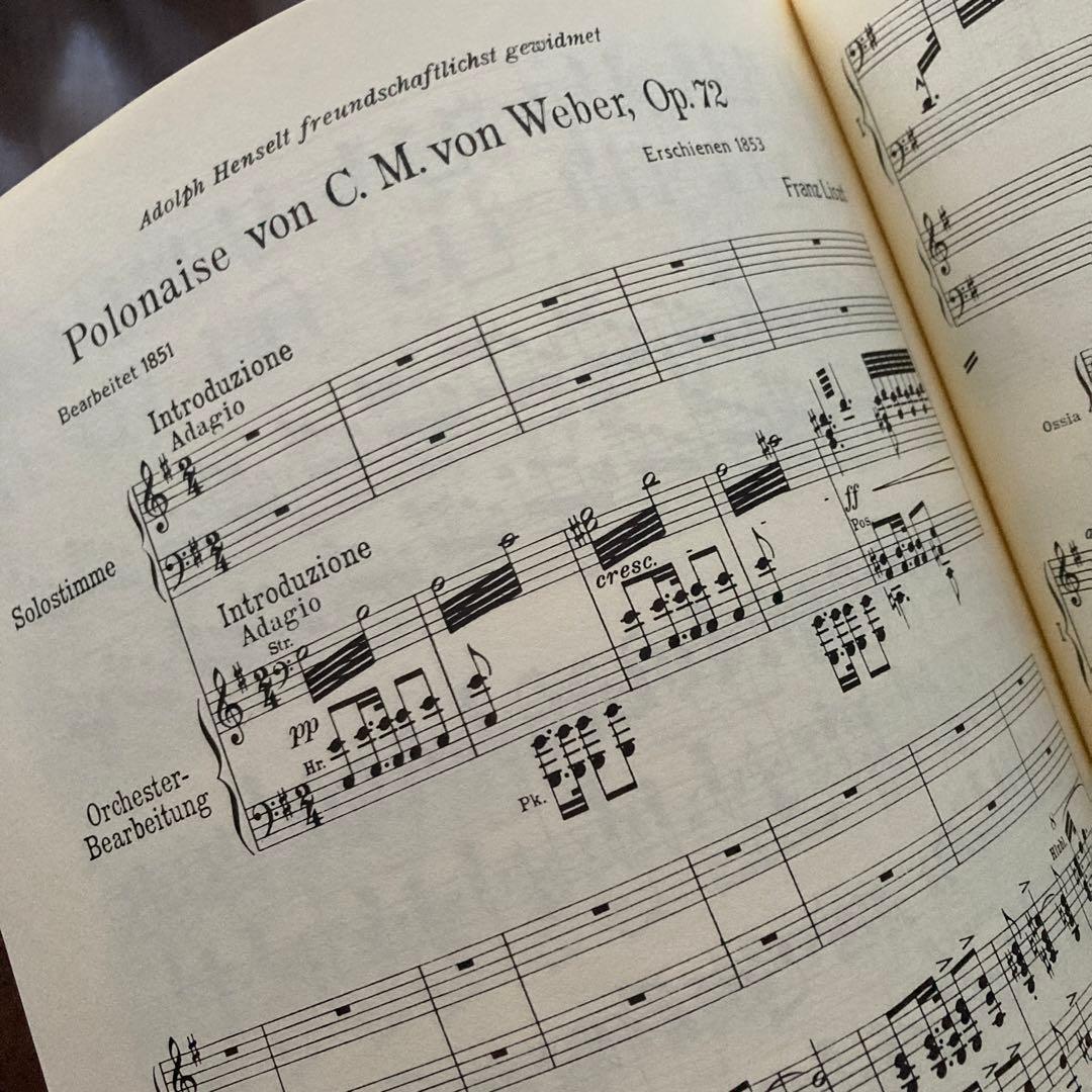 LISZT/ ピアノ作品集XI  ピアノと管弦楽のための作品PETER'S