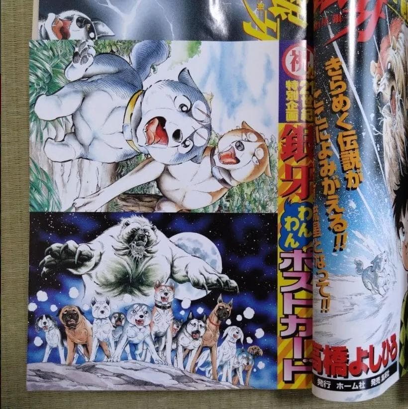 流れ星　銀牙 　総集編　1-5巻 高橋よしひろ　漫画　雑誌　ポスター付き