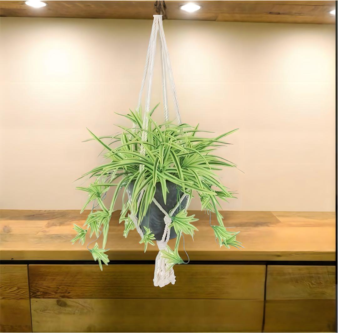 光触媒　人工観葉　ウォールグリーン　フェイクグリーン　壁掛けオリヅルランＧ／Ｙ