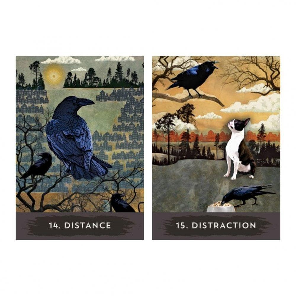 【正規品オラクルカード】世界的な人気デッキ✨入手困難✨都会のカラス達のオラクル