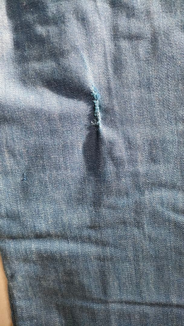 SKI LEVI'S デニム オーバーオール/春スキーにも