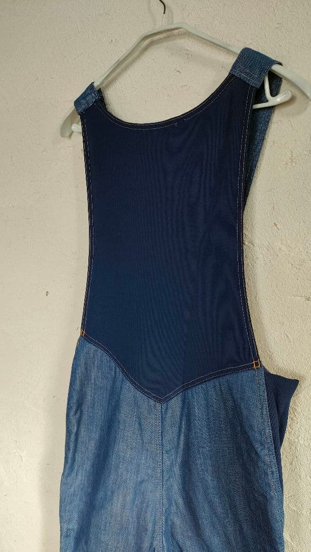 SKI LEVI'S デニム オーバーオール/春スキーにも