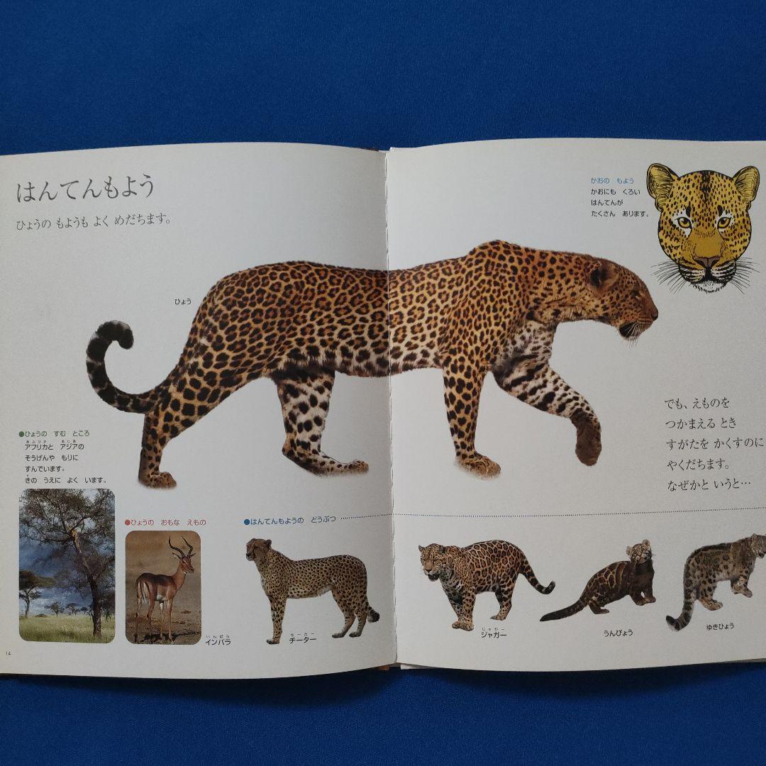 ビッグサイエンス　キンダーブックしぜん　どうぶつのからだ　あし　かお　もよう