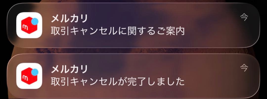 パンツ rick owens 23ss cargo bela