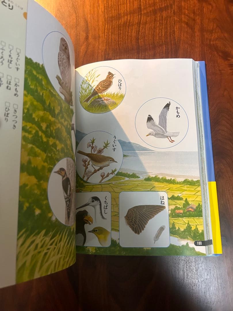 英語　タッチペン　本　参考書　幼児　小学生　英語　国語　テキスト
