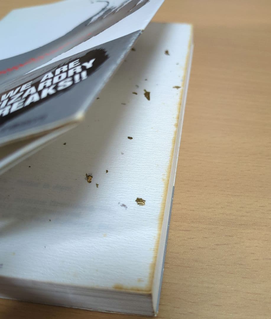 小説ウィザードリィ　隣合わせの灰と青春