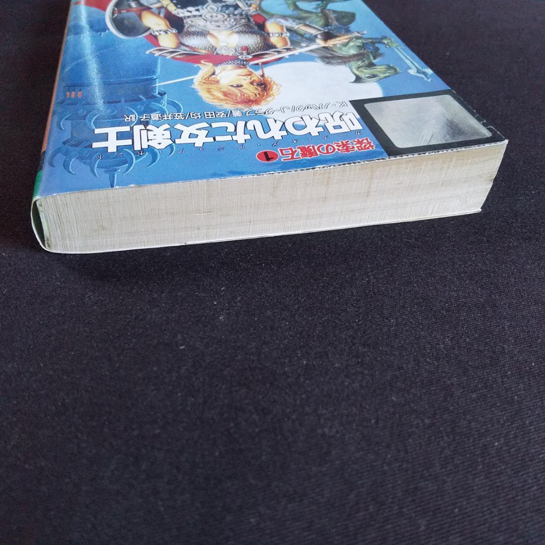 探索の魔石 呪われた女剣士 フォーゴトンレルム D&D ダンジョンズ&ドラゴンズ