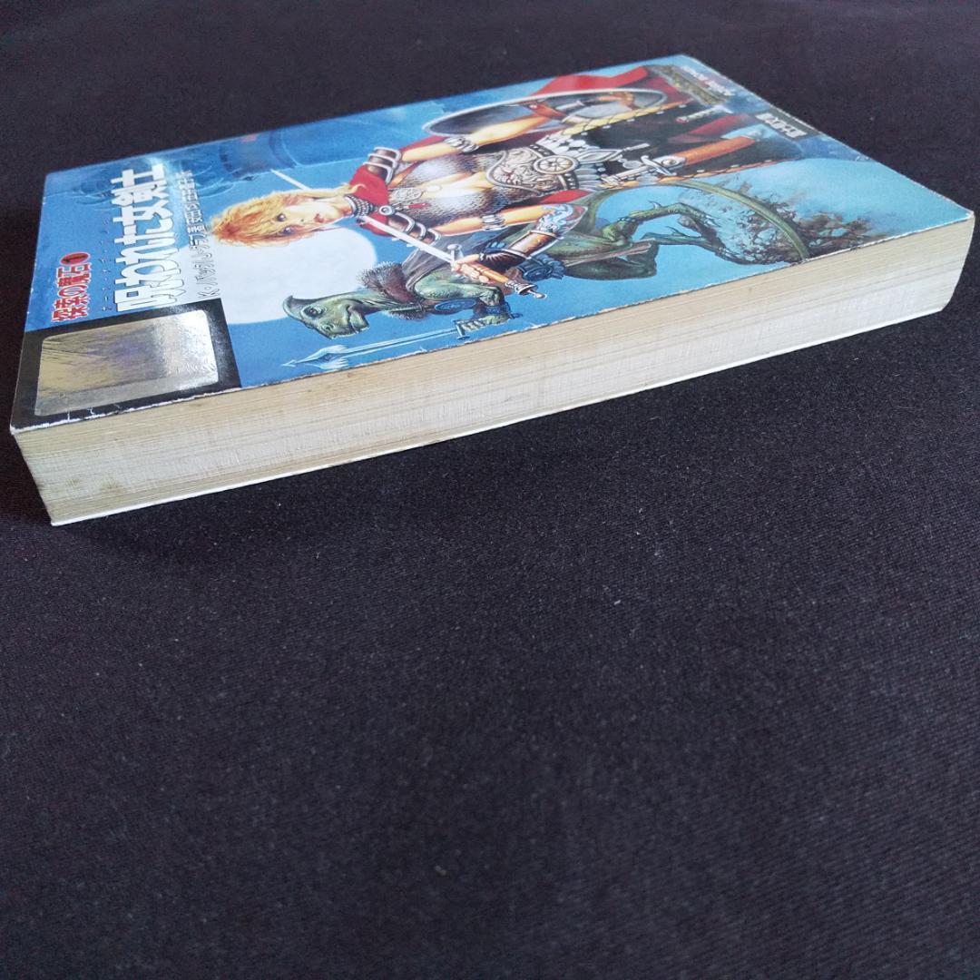 探索の魔石 呪われた女剣士 フォーゴトンレルム D&D ダンジョンズ&ドラゴンズ