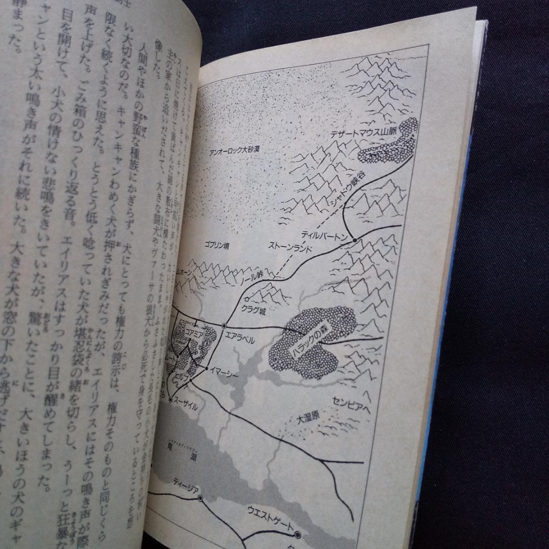 探索の魔石 呪われた女剣士 フォーゴトンレルム D&D ダンジョンズ&ドラゴンズ