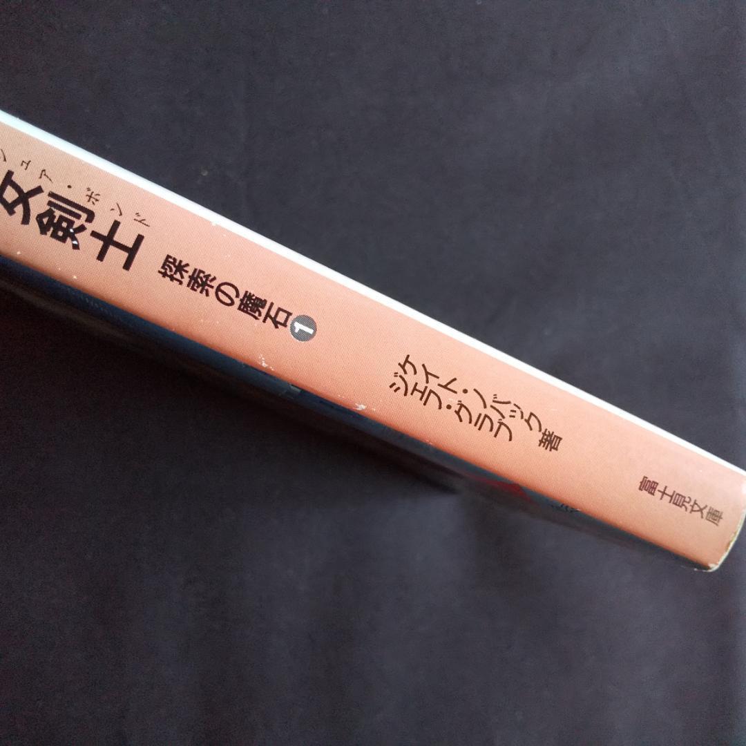 探索の魔石 呪われた女剣士 フォーゴトンレルム D&D ダンジョンズ&ドラゴンズ