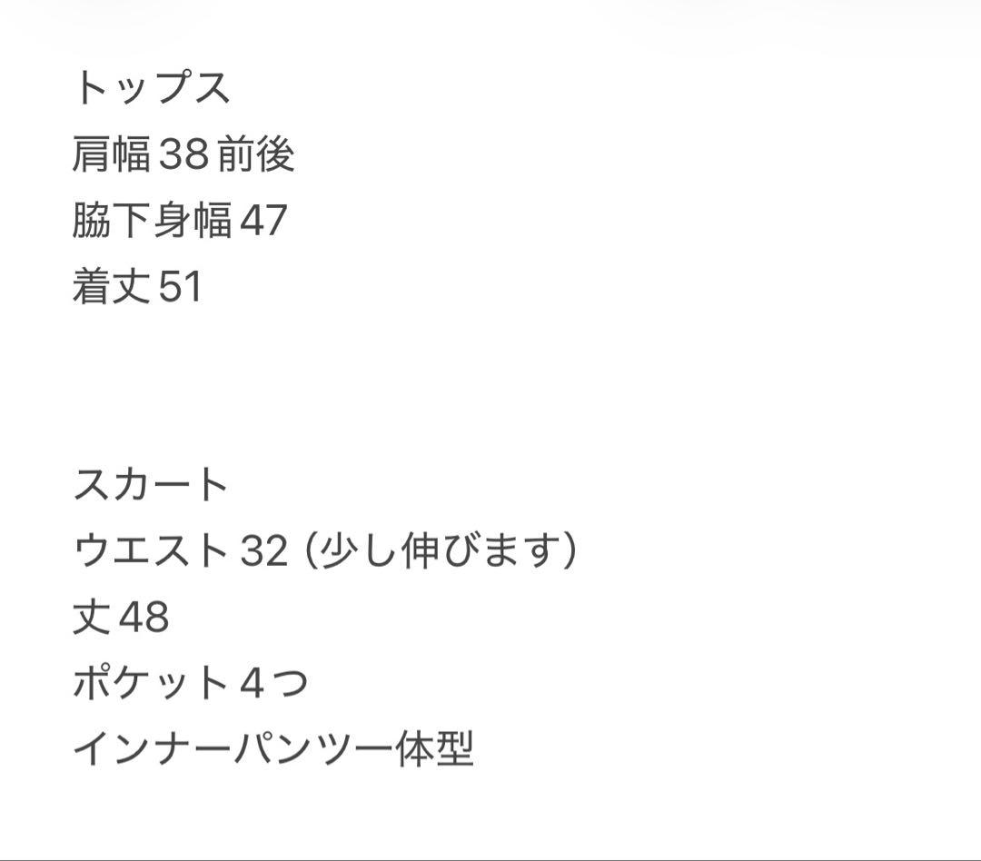 ショート丈長袖ポロスウェット　プリーツスカート　サイズS セットアップ　春夏