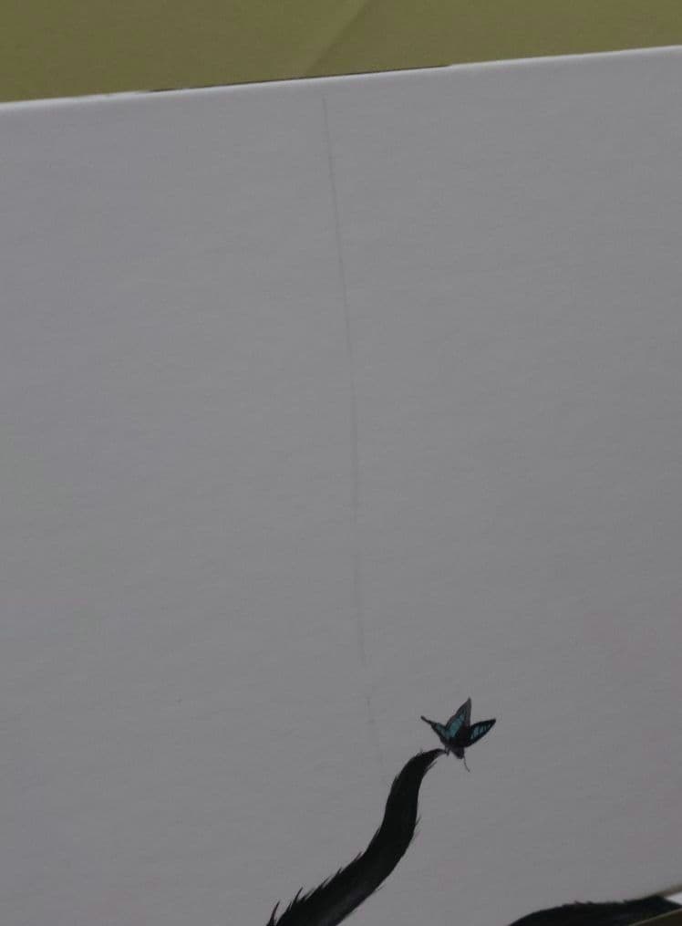 ルッキオとフリフリ 絵本 3冊セット