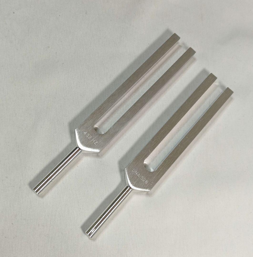 BIOSONICS ヒーリングチューナー 432Hz 528Hz ２本セット