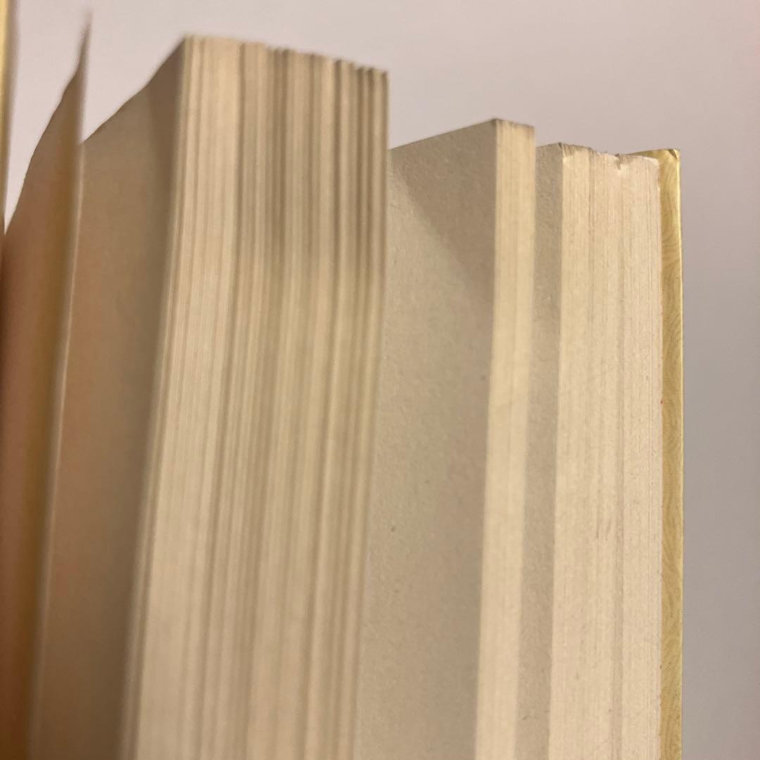 続・ウィザードリィ日記　未来はバラ色　矢野徹　アスキー