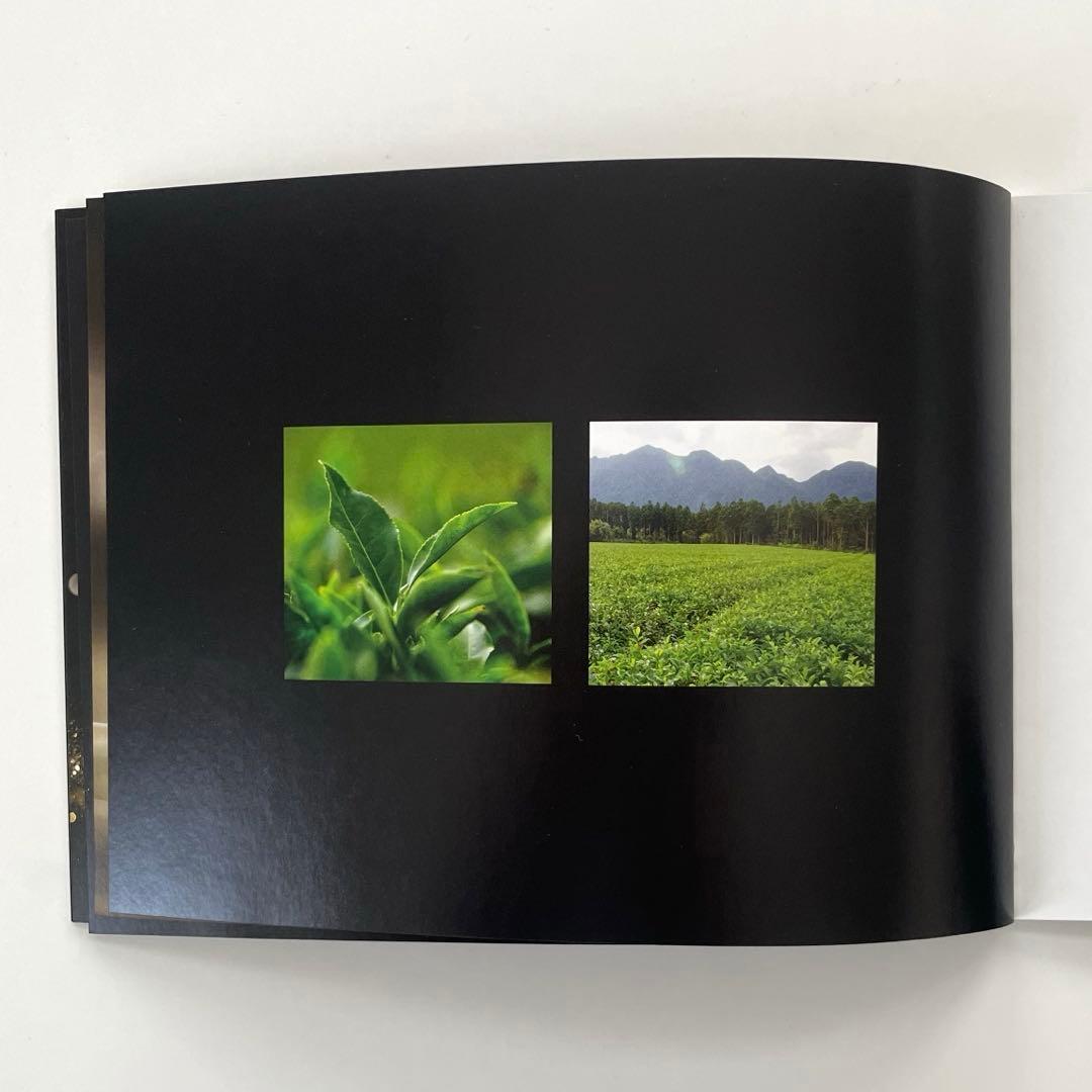 コスメデコルテ エターナルエレガンス AQミリオリティ インテンシブ クリーム