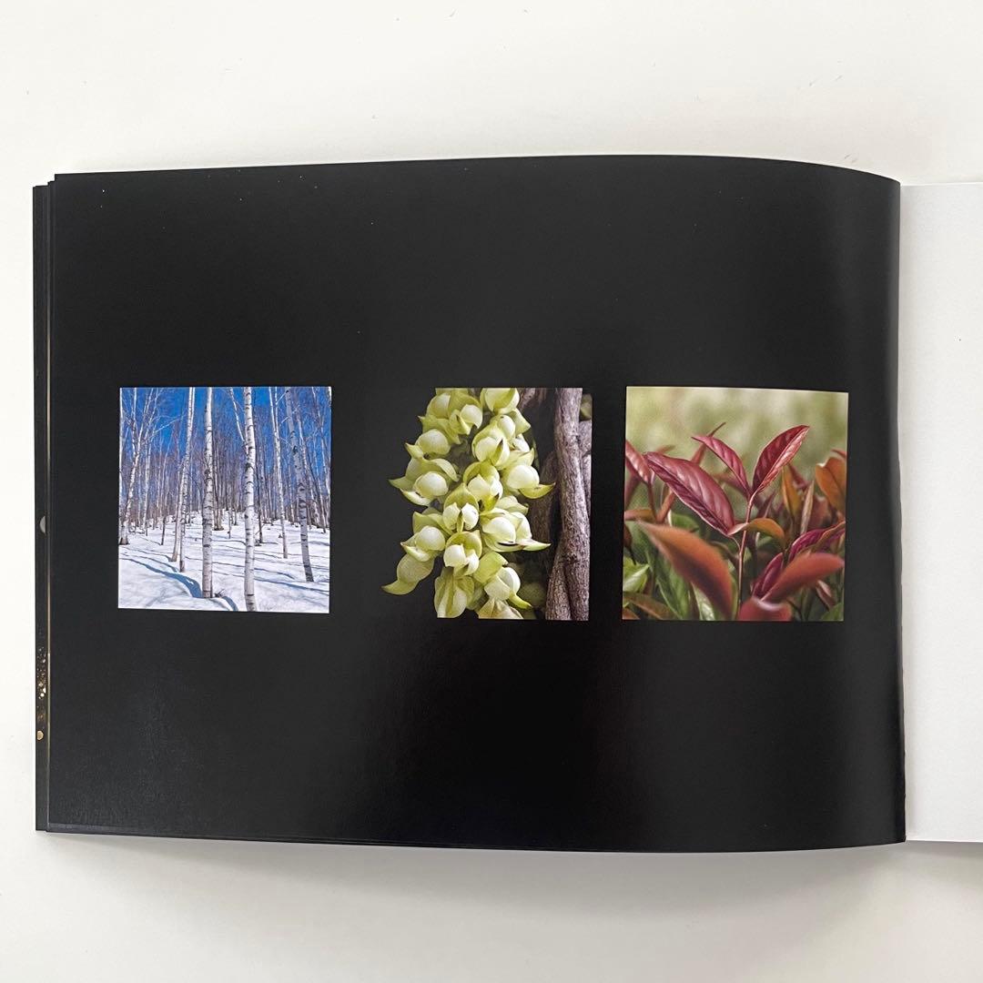 コスメデコルテ エターナルエレガンス AQミリオリティ インテンシブ クリーム