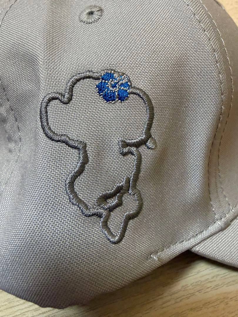 超希少・非売品！中日ドラゴンズ2026年春季キャンプ関係者限定キャップ