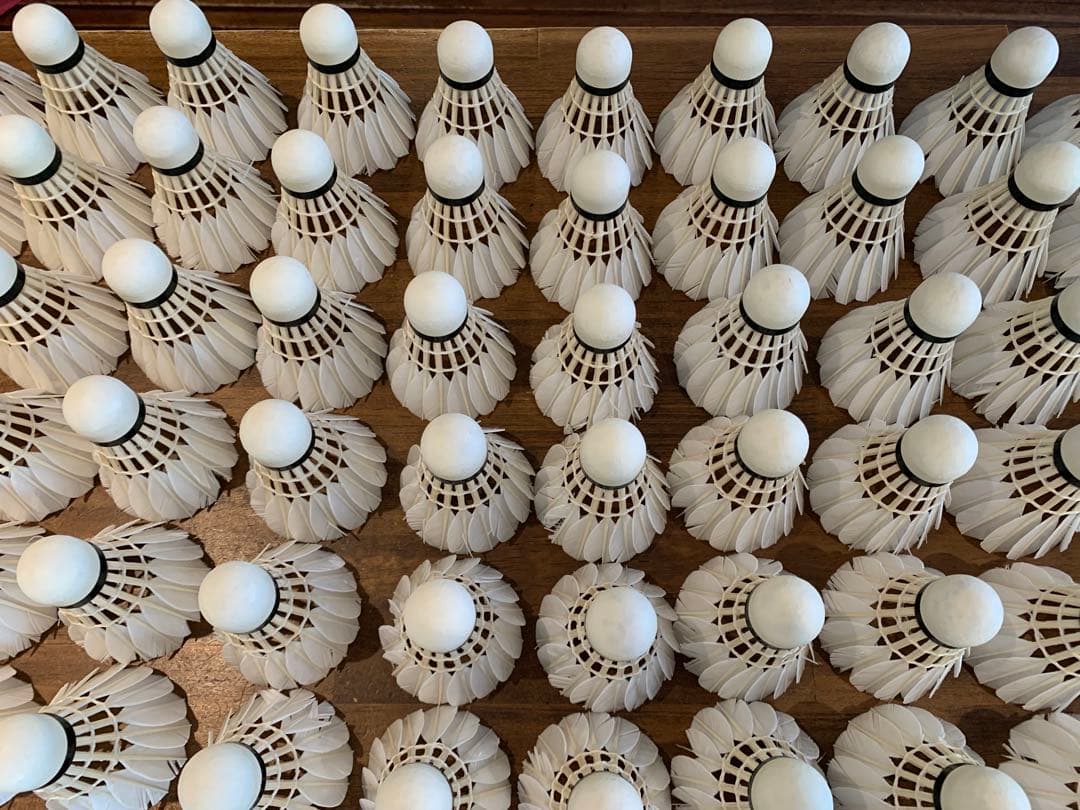 専用です‼️バドミントン シャトル サンファスト120球