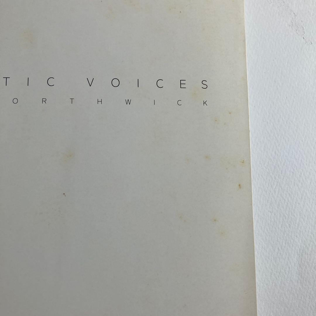 アート・デザイン・音楽 Mark Borthwick Synthetic Voices