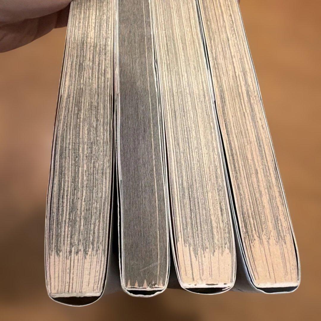 未来日記　雨流みねね　特典カード　ビッグオーダー　ペーパー