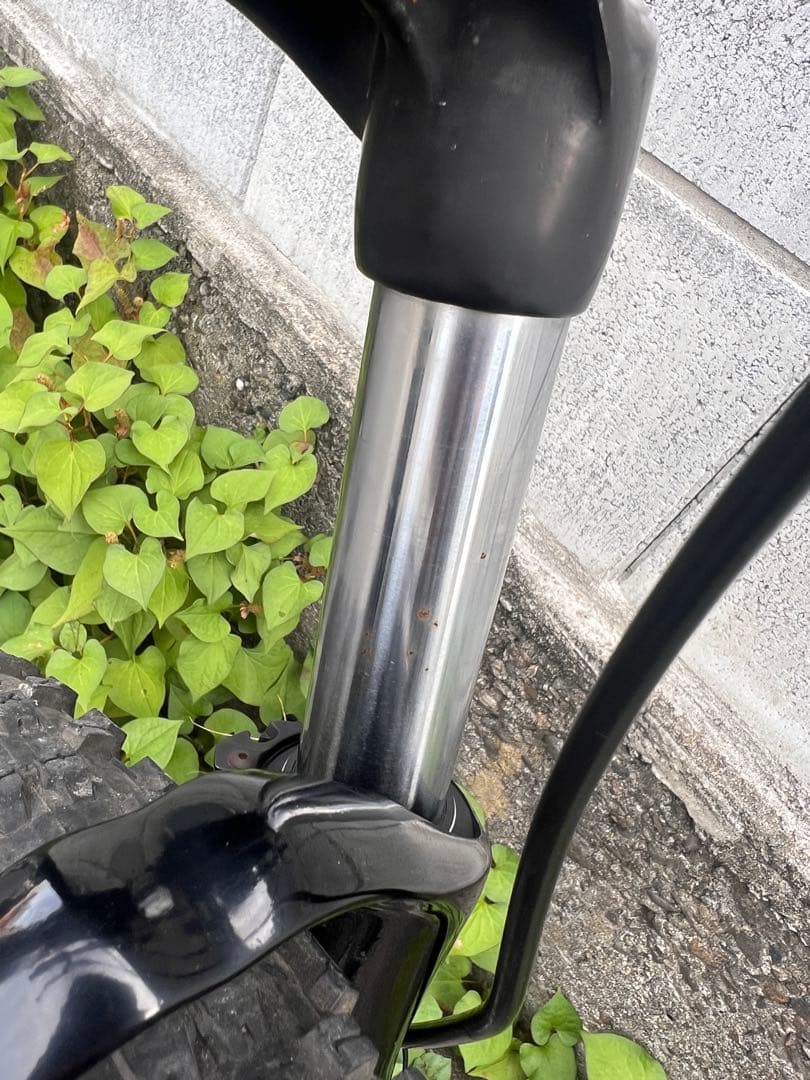 B*様 mon Thunderball 26 xs ダージャン