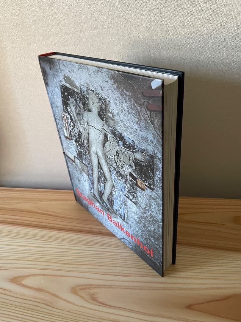 シュテファン・バルケンホール　シュテファンバルケンホール　大型本　ハードカバー