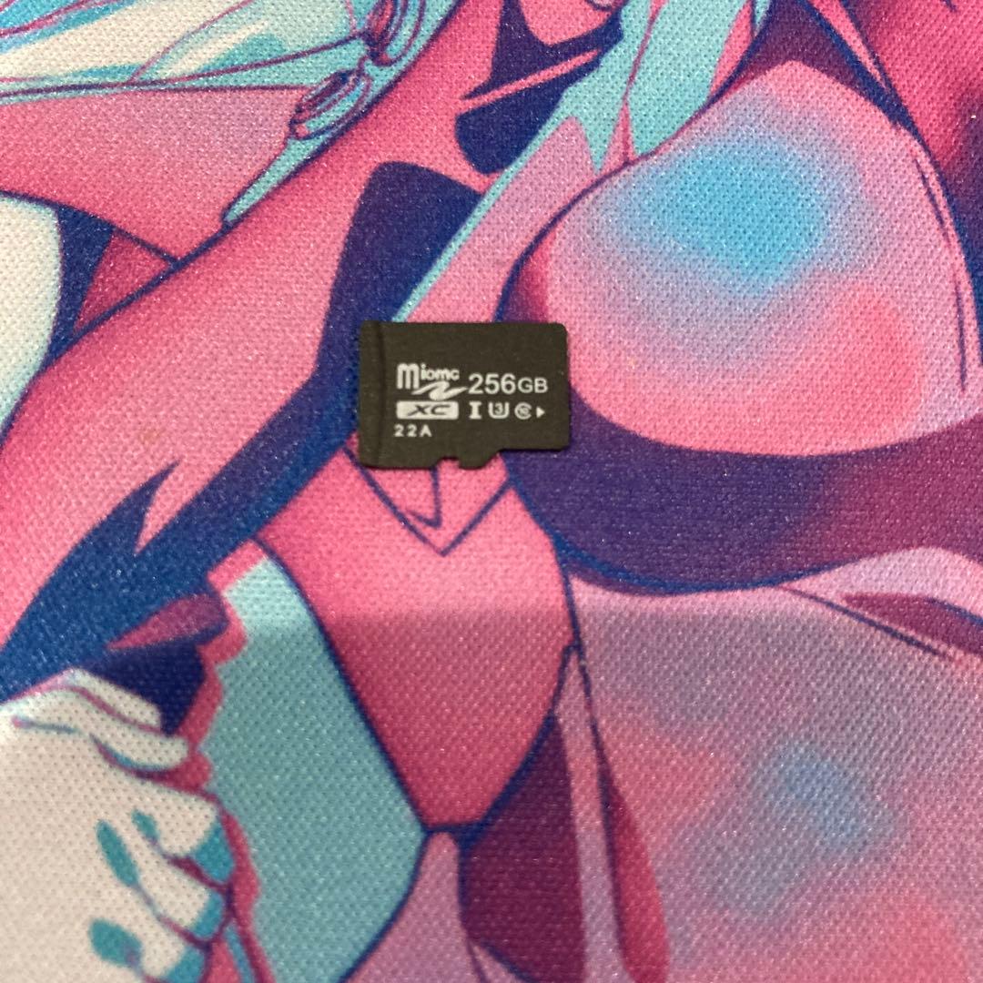 Nintendo Switch Lite グレー