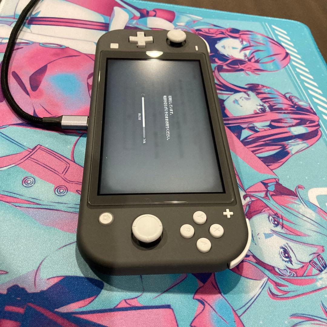 Nintendo Switch Lite グレー